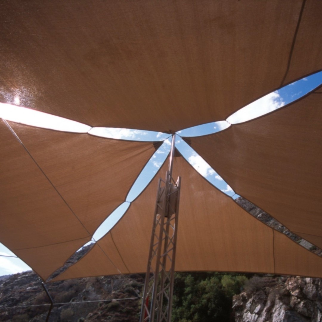 view of canopy from below