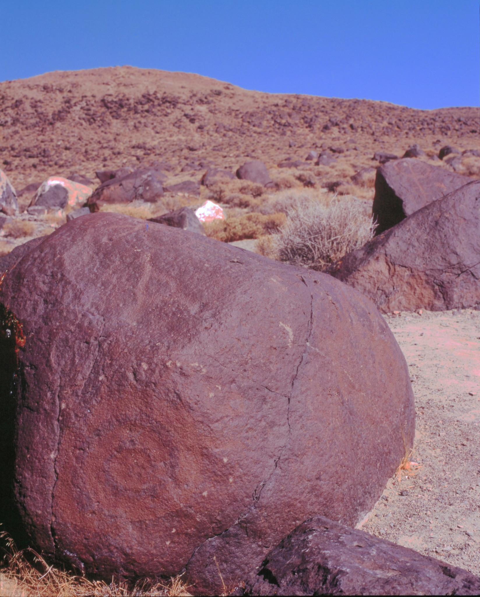 Petroglyph of spiral pattern on reddish rock in the desert